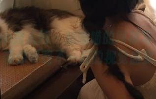 Xiuren秀人网 – 奶喵喵的网袜写真作品集：带你领略不一样的视觉盛宴.txt