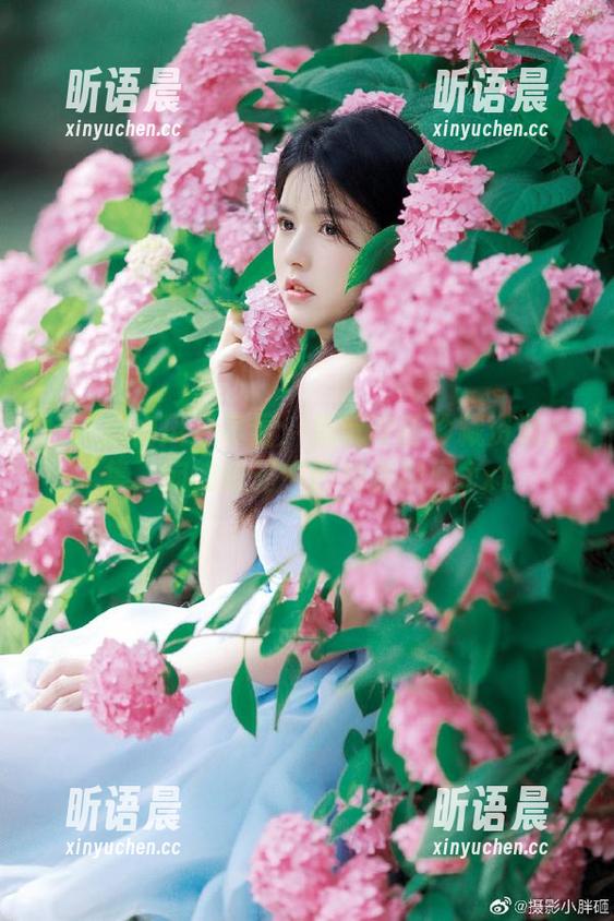 红蓝旗袍风采尽显：兔玩映画珍藏资源合集，宛如时光中的绝美瞬间.txt