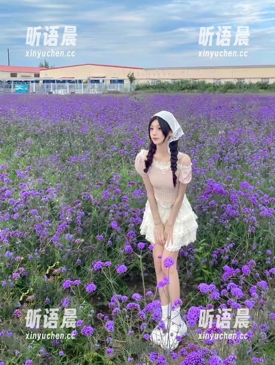秀人网-伍晓丽Shirley 秀人网 - 走进伍晓丽Shirley的镂空世界:图库分享带你感受视觉盛宴.txt
