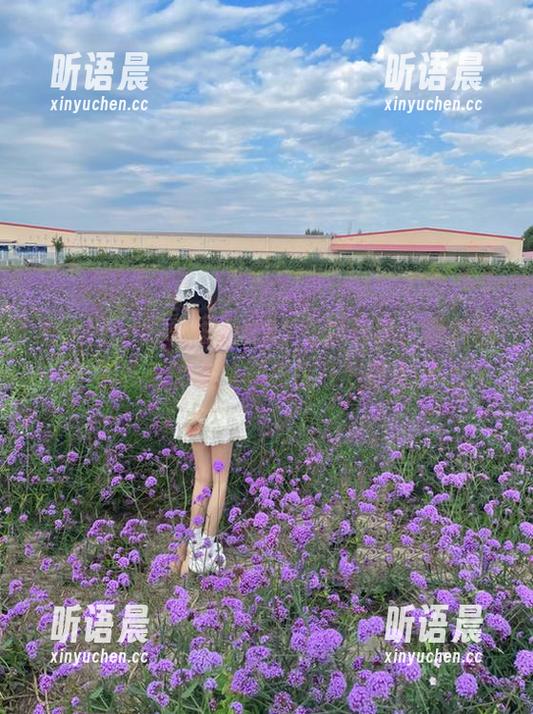 秀人网-陈雅漫VICKY 秀人网 - 陈雅漫VICKY泳装写真,绝对值得收藏的资源和作品齐分享.txt
