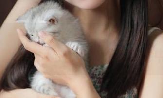 蜜桃社 – Cris_卓娅祺套装写真：捕捉每个瞬间的美丽与自信，尽在图包中.txt