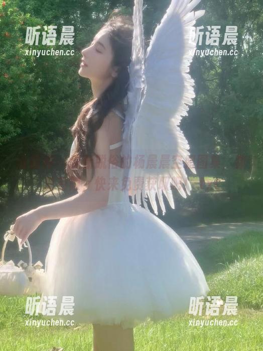 语画界 - 清新脱俗的杨晨晨空姐图集，数量有限，快来免费获取吧！.txt